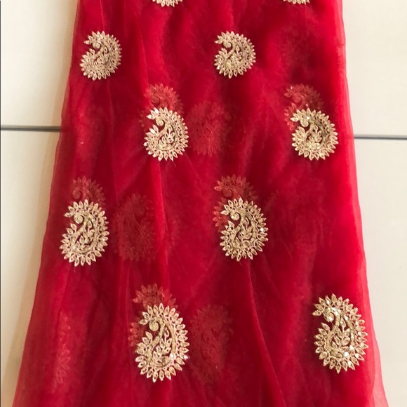 Final Sale- Indian Net Saree - Picture 3 of 8